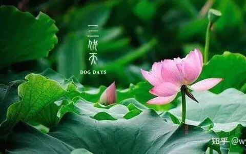 三伏天大忌-三伏天应注意什么不能吃什么