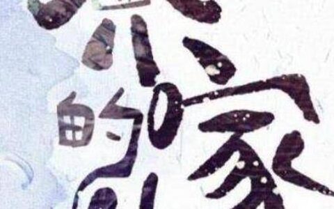 原创
女主是谁不重要，杨幂杨紫都很好，可为什么男主竟然选了他？-原文女主强势逆袭