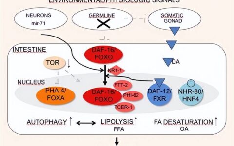 为什么到现在都无法实现永生？-为什么人不能永生永世