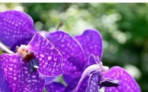 5月28日至6月30日，告别紧张的日子，财运也将溢价，3星座-怎样告别紧张焦虑