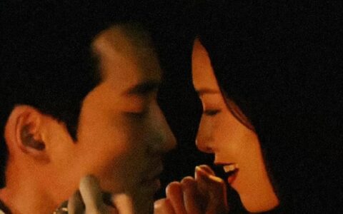 《孤注一掷》票房超《八角笼中》，位列亚军-孤注一掷讲的是什么意思