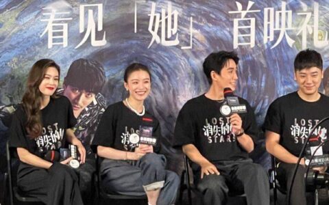 《消失的她》影评-消失的她影评1000字