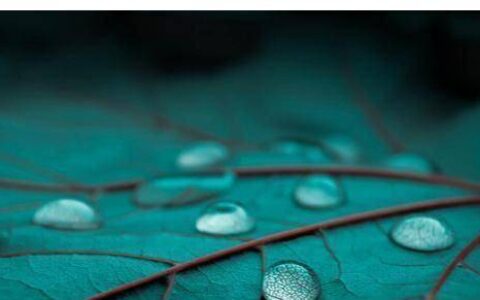 5月31日，6月1日，兔狗龙三生肖利转旺，日子越发丰盛-龙,狗,兔三个做生意能合财吗?