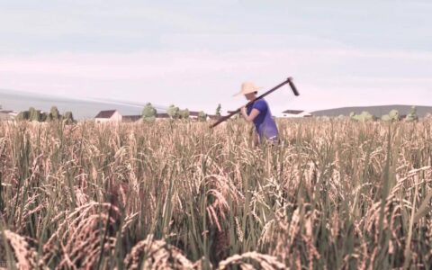 动画丨致敬缅怀！袁隆平：禾下乘凉梦，一梦逐一生-袁隆平的禾下乘凉梦是什么