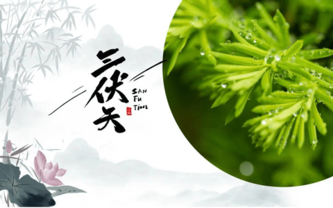 转给家人！三伏天养生6大禁忌-三伏天养生的重要性