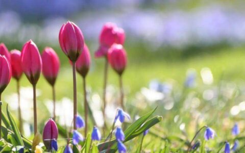 从2023年5月1日到10月初是什么好日子？-2023年五月一号天气怎么样