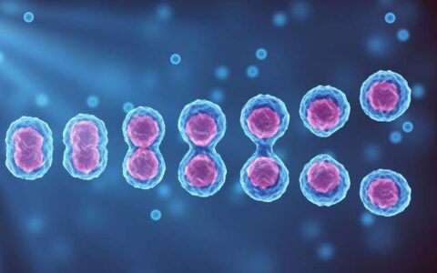 为什么生命没有选择永生？其实永生更像是一个“诅咒”-为什么生命不能永恒