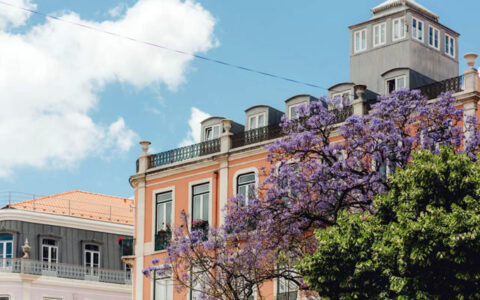 加拿大买房移民(加拿大买房移民政策最新2023)