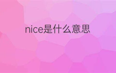nice是什么中文意思(nice中文意思探秘)