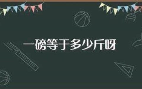 一磅是多少斤(磅和斤怎么换算)