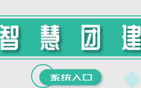 智慧团建：互联网时代的社会力量整合