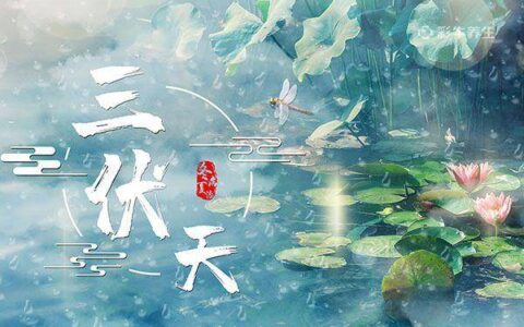 三伏天养生6大禁忌-三伏天养生小技巧