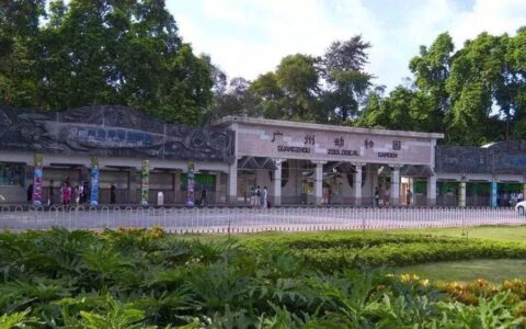 广州动物园游玩攻略-广州动物园游玩攻略2023年8月