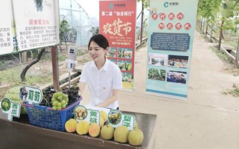 湖北赤壁烟草：驻点帮扶聚合力 知音同行“葡”振兴-赤壁市烟草局电话