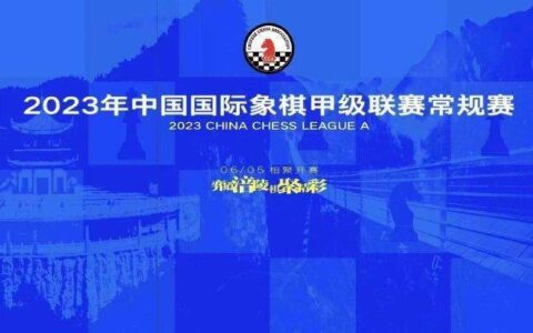 国际象棋甲级豪门换新装 山东外国语国象队亮帜-山东省国际象棋个人锦标赛