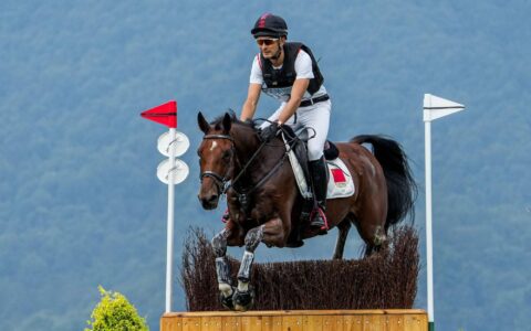 赛事服务助力精彩亚运-助力亚运会的口号