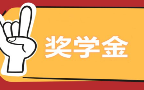 您认为自己为什么是这个奖学金的理想人选？(奖学金申请理由)