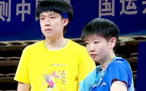 异样参赛老将：刘诗雯胜刘斐，许昕遗憾退赛