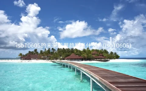 iso10605的未来发展趋势是什么？(iso10605)