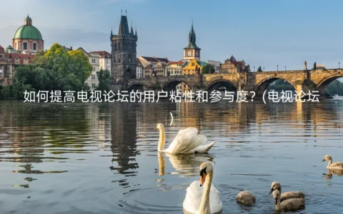如何提高电视论坛的用户粘性和参与度？(电视论坛)