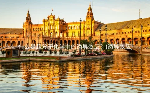 什么是超分子化学中的诱导效应？(诱导效应)