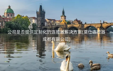 公司是否提供定制化的连接器解决方案(莫仕连接器成都有限公司)
