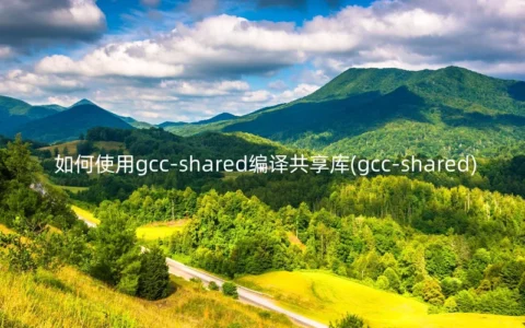 如何使用gcc-shared编译共享库(gcc-shared)