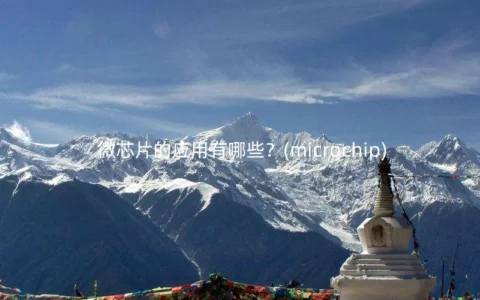微芯片的应用有哪些？(microchip)