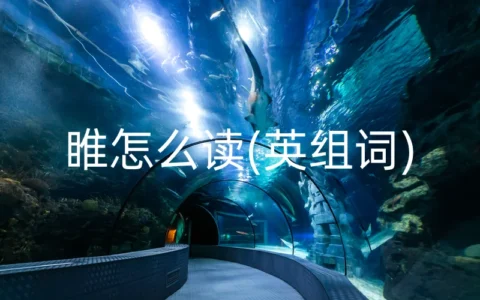 睢怎么读(英组词)