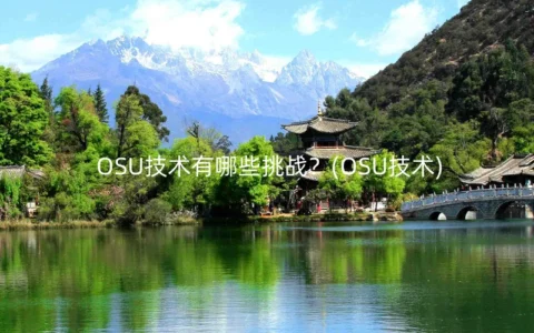 OSU技术有哪些挑战？(OSU技术)
