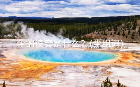 尘的读音是什么？(尘组词)