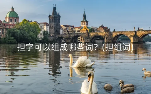 担字可以组成哪些词？(担组词)