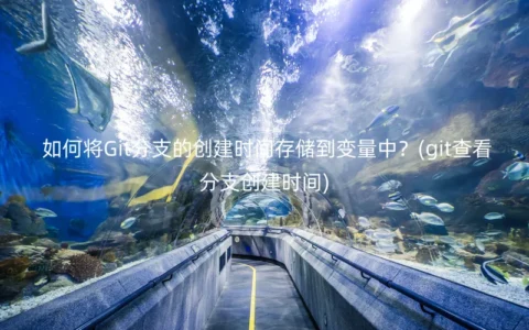 如何将Git分支的创建时间存储到变量中？(git查看分支创建时间)
