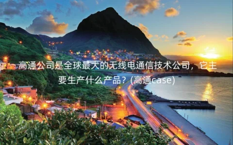 高通公司是全球最大的无线电通信技术公司，它主要生产什么产品？(高通case)