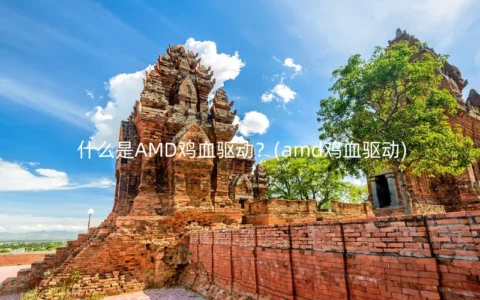 什么是AMD鸡血驱动？(amd鸡血驱动)