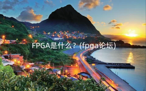 FPGA是什么？(fpga论坛)