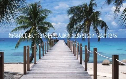 如何利用芯片论坛拓展人脉和业务机会？(芯片论坛)