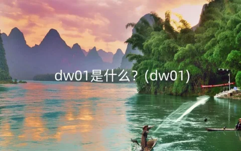 dw01是什么？(dw01)
