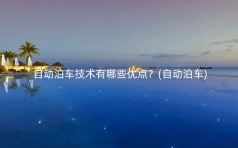 自动泊车技术有哪些优点？(自动泊车)