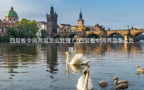 四层板中间两层怎么处理？(四层板中间两层怎么处理)