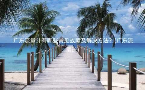 广东流量计有哪些常见故障及解决方法？(广东流量计)
