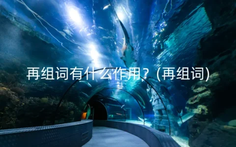 再组词有什么作用？(再组词)
