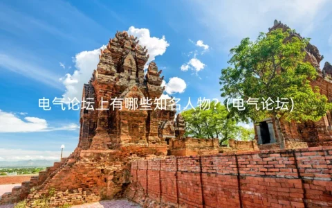电气论坛上有哪些知名人物？(电气论坛)