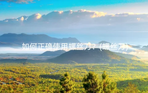 如何正确使用螺丝刀？(螺丝刀)