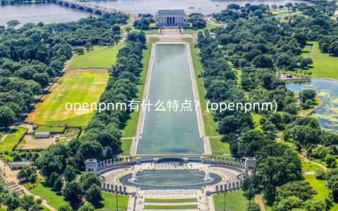 openpnm有什么特点？(openpnm)