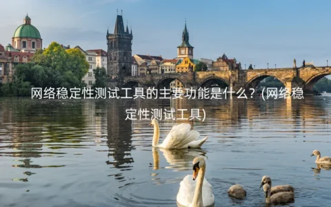 网络稳定性测试工具的主要功能是什么？(网络稳定性测试工具)