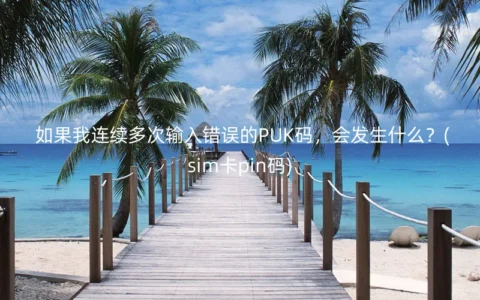 如果我连续多次输入错误的PUK码，会发生什么？(sim卡pin码)