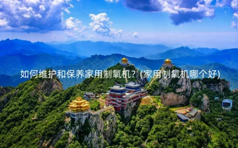 如何维护和保养家用制氧机？(家用制氧机哪个好)