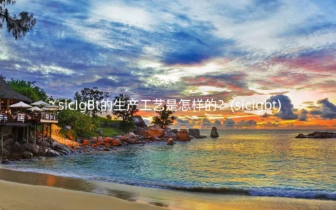 sicIgBt的生产工艺是怎样的？(sicigbt)