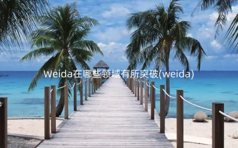 Weida在哪些领域有所突破(weida)